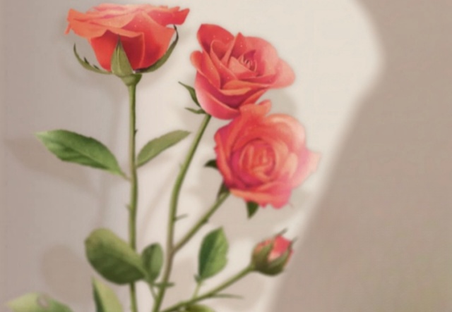 祝天下女神們節(jié)日快樂(lè)?。。? ></a>
                        <a href=